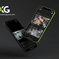 Video Experts Group