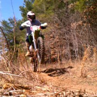 Matthew Whisnant