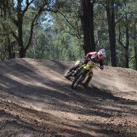 Brodie Snedden