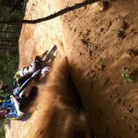 Ryan Smith