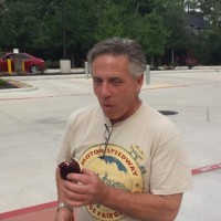 Joe Trimamarchi