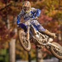 Dalton McDonald