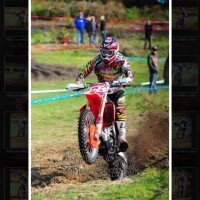 Brett Holl