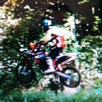 Payton Brown