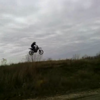 levi lewison