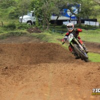 freddy chaves