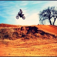 Austin Bauman