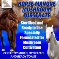 pasteurized horse manure