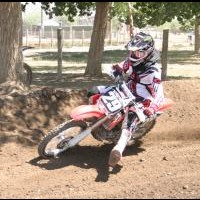 Andrew Vogel