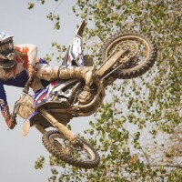 Tony Giusti