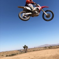 Matt Manteau
