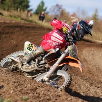 antony bourgault