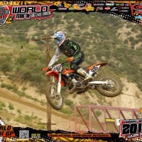 Travis Miller