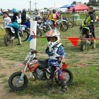dalton mcconnell