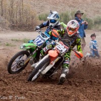 tristen  warner
