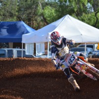 Michael Bedock