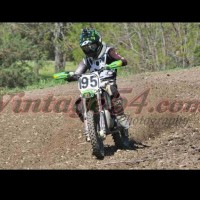 anthony tarallo
