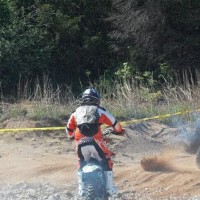 Austin Schobert