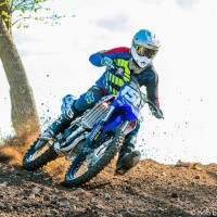 blake halstead