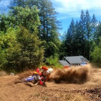 branden lepard