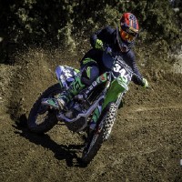Austin Rodgers