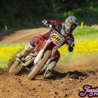 kyle Hamilton
