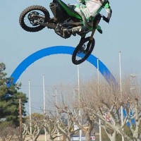 joey wollbrinck