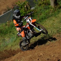Damion Huppert