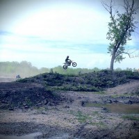 Taylor Hallman