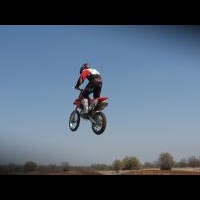 Brandon Sheeler