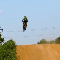 cole Lewis