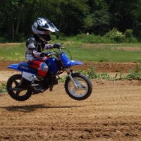 Reed Bodie