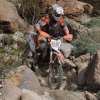 Bryan Fiscalini