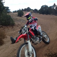 Wyatt Stein