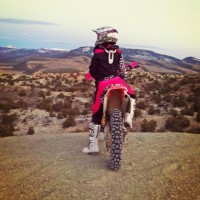Andie  Robinson
