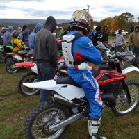 cole  krell