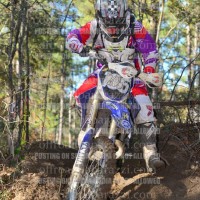 Kyle McLester