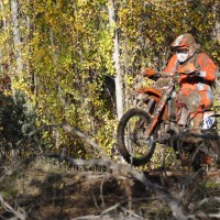 Brian Petterson