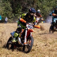 Dustin  Arant 