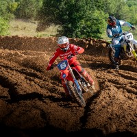 Luke Hamblin