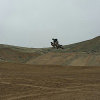 tyler wiegand
