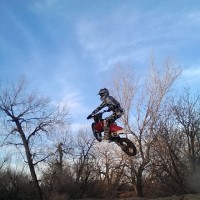 Collin Holman