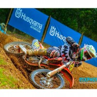 Lachlan Torpy