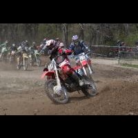 Alex Kelly