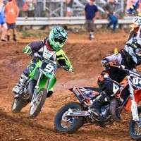 Reid  Wilson