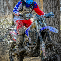 Dakota Harrison Harrison