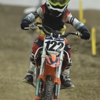 Levi Cook