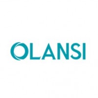 Olansi Air  Purifier
