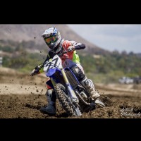 Taylor Sandoval