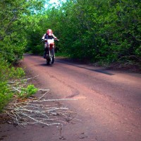 Destiny Budgell